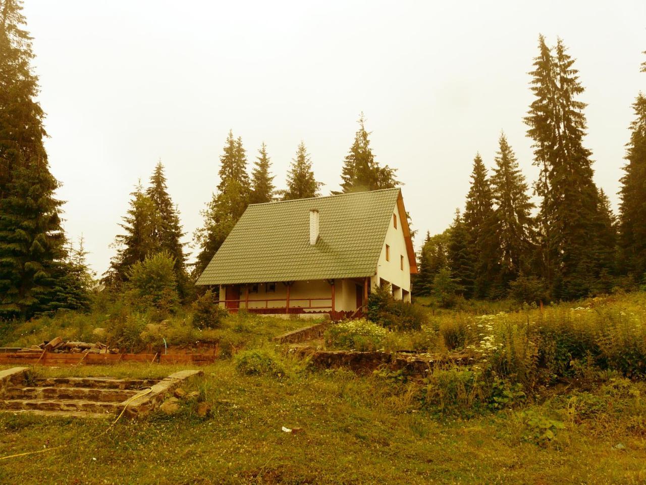 Беркут Bukovel Exterior foto